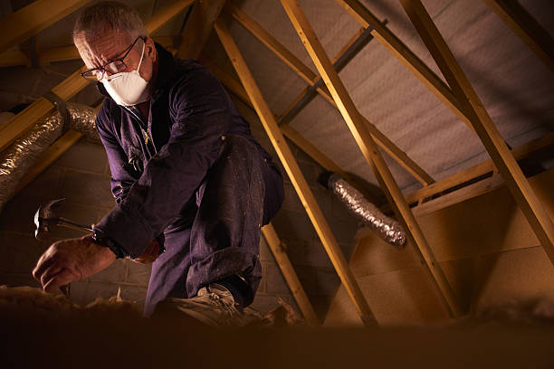 Best Cellulose Insulation in Watervliet, NY